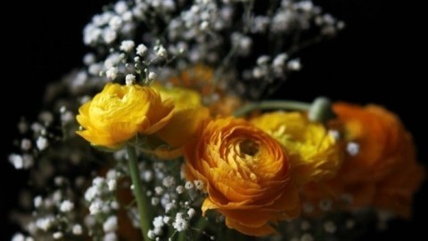 Schnittblumen / Blumenstrauß retten