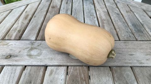 Ein Butternutkürbis liegt auf einem runden Holztisch und wartet darauf, für die Zubereitung von Butternutkürbistalern verwendet zu werden.