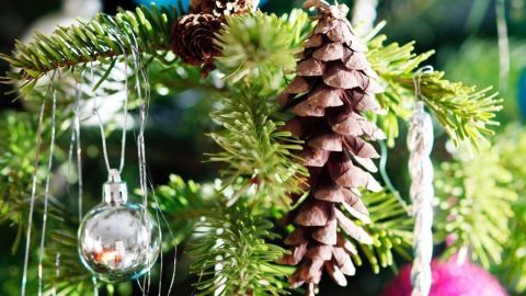 Tannenzapfen hängen harmonisch zwischen glänzendem Weihnachtsschmuck an einem festlich geschmückten Baum.