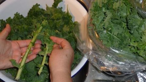 Frischen Gr&uuml;nkohl vorbereiten und verarbeiten 1