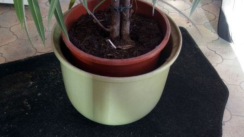 Eine alte Fußmatte dient als Unterlage für einen Blumentopf mit einer Pflanze, die im Innenbereich steht.