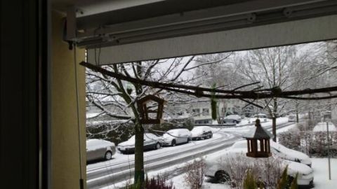 Die Balkonsaison für Vögel hat begonnen! Diese winterliche Szene zeigt, wie wichtig es ist, Vögel während kalter Monate zu füttern. Bereite deinen Balkon vor und unterstütze die gefiederten Freunde in ihrer Not. Eine Fenstersicht zeigt einen verschneiten Balkon mit einem Vogelhaus, das auf die Vögel wartet, während Autos im Schnee parken.