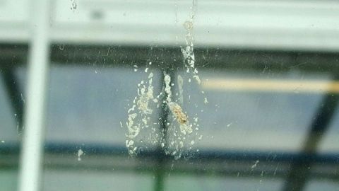 Insekten auf der Autoscheibe mit nasser Zeitung entfernen. Wassertropfen prallen von einer Autoscheibe ab, während die Umgebung durch Fenster mit natürlichem Licht erhellt wird.
