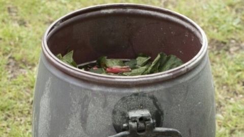 Ein dunkler, metallener Behälter steht im Freien, gefüllt mit Pflanzenmaterial zur Herstellung von Brennesseljauche.