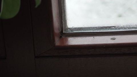 Ein Fenster hat sich von innen angelaufen. Wassertropfen sind sichtbar, während der Raum schwach beleuchtet ist.