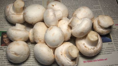 Frische Champignons liegen auf einer Zeitung und zeigen, wie man sie aufbewahren kann, um sie länger frisch zu halten.