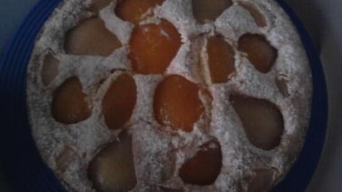 Ein saftiger Birnen-Aprikosen-Kuchen mit Puderzucker bedeckt, stilvoll auf einem blauen Teller präsentiert.