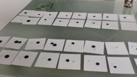 Auf einem Tisch liegen mehrere Papierspiralen mit schwarzen Spielsteinen, die für das afrikanische Bohnenspiel (Bao Spiel) angeordnet sind.
