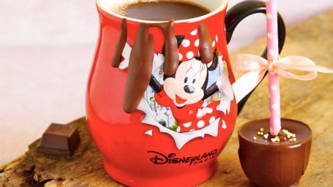 Eine rote Tasse mit Trinkschokolade steht auf einem Holzbrett, dekoriert mit Schokolade und einem süßen Rührstäbchen.