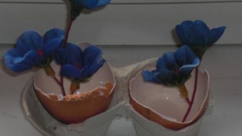 Zwei Eierschalen-Vasen halten blaue Kunstblumen in einem Eierkarton, auf einer weißen Oberfläche stehend.