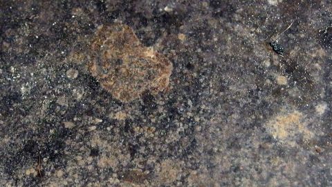 Braune hartnäckige Flecken auf Herdplatten mit Backofenreiniger entfernen. Braune hartnäckige Flecken sind auf einer dunklen Herdplatte sichtbar, die nicht gereinigt wurde.