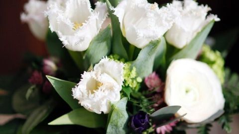 Blumenstrauß länger frisch halten: Ich habe Kupfermünzen, Zucker, Aspirin ausprobiert und muss sagen, am besten wirkt die Mundspülung! Ein Blumenstrauß mit frischen weißen Tulpen steht in einer Glasvase auf einem Holztisch.