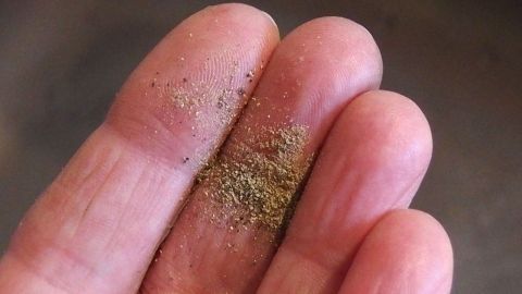 Eine Hand hält eine kleine Menge grünes Katzentoiletten-Sandgranulat, das möglicherweise für Katzen als Ablenkung gedacht ist.