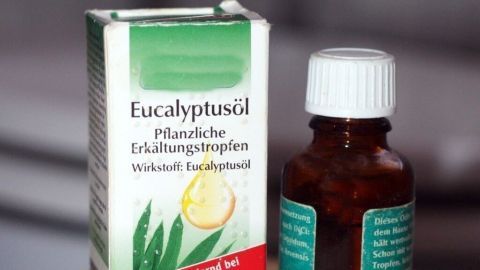 Ein Fläschchen Eukalyptusöl steht neben einer Verpackung auf einer Oberfläche, ideal zur Geruchsneutralisierung im Badezimmer.