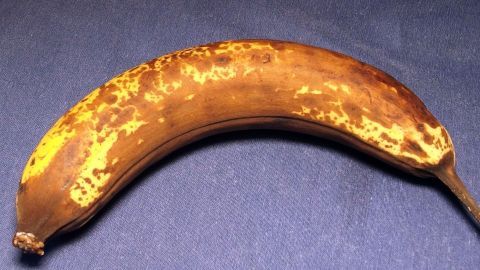 Eine braune Banane liegt auf einem blauen Hintergrund und zeigt Bananenflecken, die durch Sonnenlicht entstanden sind.