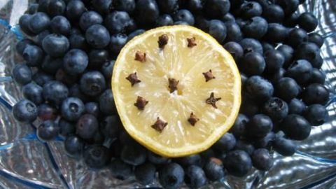 Halte Insekten mit dieser einfachen Methode fern: Ein Stück Zitrone, bestückt mit Nelken, inmitten von Blaubeeren. So bleibt dein Obst frisch und ungestört. Weitere Tipps findest du im Artikel. Mit Zitrone und Nelken auf den Heidelbeeren hältst du Mücken fern und schützt dein Obst auf natürliche Weise vor Insekten.