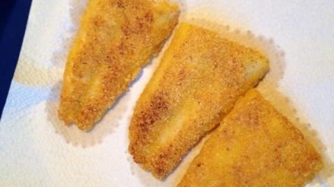 Drei goldbraun panierte Fischfilets liegen auf einem weißen Küchentuch, frisch zubereitet ohne Ei, bereit zum Servieren.