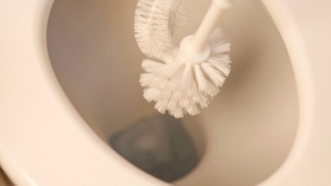 Kalk und Urinstein aus WC entfernen