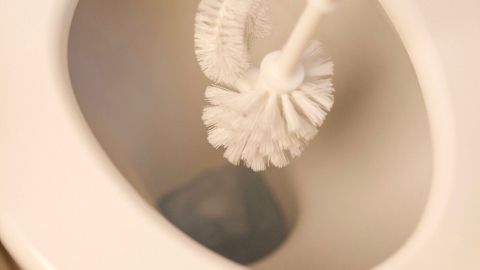 Eine WC-Bürste schwenkt in einer Toilette, um Kalk und Urinstein effektiv zu entfernen, um Hygiene zu gewährleisten.