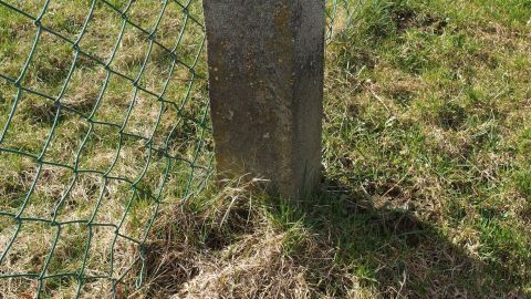 Ein Zaunpfahl steht auf einer Wiese, umgeben von Gras, um Hunde fernzuhalten.