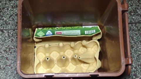 Ein Eierkarton aus Pappe liegt in einem braunen Biomüllbehälter, bereit zur umweltfreundlichen Entsorgung.