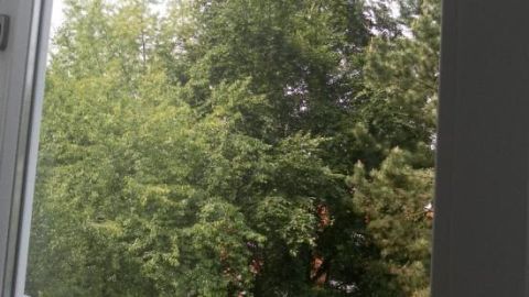 Ein Fenster öffnet einen Blick auf grüne Bäume, das Wetter ist bewölkt und die Atmosphäre ist ruhig.