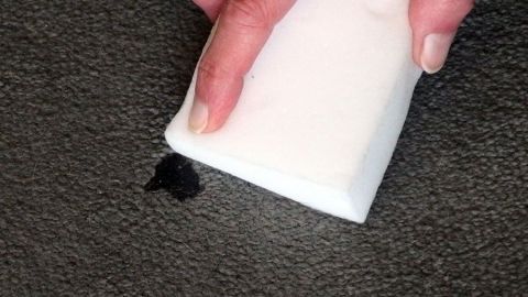 Eine Hand hält einen Schwamm, der über einen Teppichboden mit einem Fleck gestrichen wird, um Trittspuren zu entfernen.