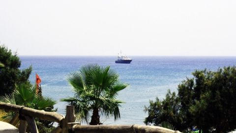 Schiff fährt auf ruhigem Meer, umgeben von Palmen vor einem Holzzaun an einem sonnigen Küstenstrand.