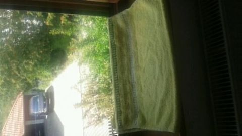 Ein grünes Handtuch liegt auf der Fensterbank unter einem offenen Dachfenster, das einen sonnigen Garten zeigt.