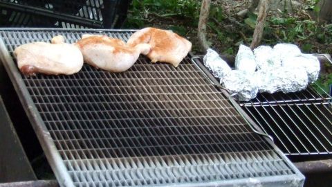 Auf einem Grill werden saftige Hähnchenbruststücke und vorbereitetes Gemüse in einer grünen Umgebung zubereitet.
