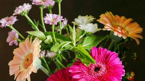Hast du auch viel Minze im Garten? Dann verwende sie doch für einen selbstgebundenen Blumenstrauß. Das sieht toll aus, riecht frisch und hält Mücken fern.