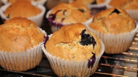 Leckere Erdnussbutter Blaubeer Muffins stehen warm auf einem Gitter, bereit zum Genießen. Sie sind goldbraun und fluffig.