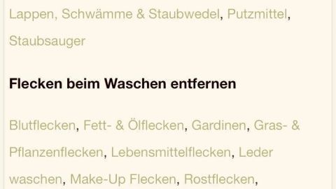 Putzutensilien zeigen eine Liste von Methoden zur Fleckenentfernung in einem sauberen, strukturierten Layout.