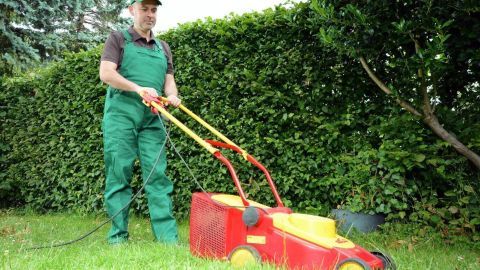 Ein Gärtner schneidet mit einem elektrischen Heckenschneider eine grüne Hecke in einem gepflegten Garten.