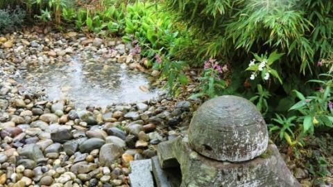 Hundepool für den Garten