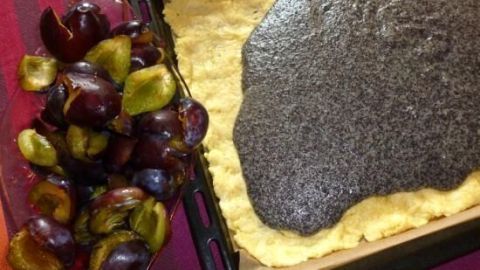 Auf einem Blech liegt ein roher Pflaumen-Mohn-Kuchen, während frische Pflaumen daneben приготовляются.