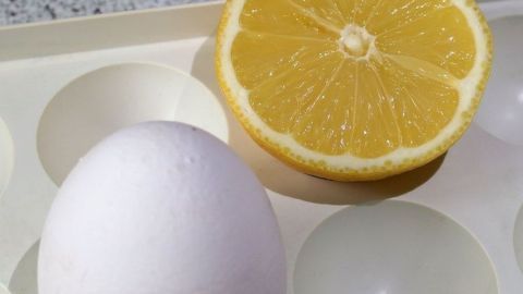 Eine angeschnittene Zitrone liegt neben einem weißen Ei auf einer küchenähnlichen Fläche und wird möglicherweise aufbewahrt.