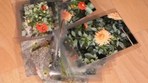 Bunte Dahlienmarkierer liegen auf einem Holzboden, umfarbt von klaren Tüten, ideal für Gartenplanung und -gestaltung.