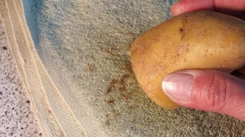 Eine Hand hält eine Kartoffel, die über einen schmutzigen Handtuchstoff gerieben wird, um Jodflecken zu entfernen.