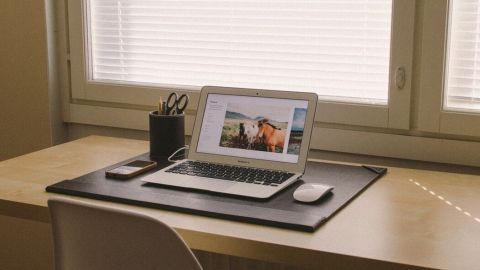 Laptop zeigt Foto von zwei Pferden, auf einem Schreibtisch neben Smartphone und Stiftebecher; Hörverständnis im Kontext.