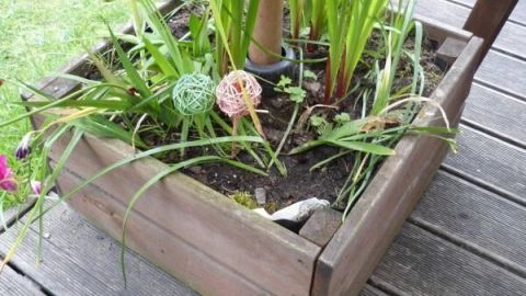 Ein Pflanzgefäß dient als Sonnenschirmständer und ist mit verschiedenen Pflanzen im Gartenbereich ausgestattet.