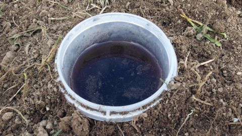 Wenn die Schnecken im Garten nerven, buddelt einfach einen Becher, der mit Bier gefüllt ist, in die Erde. Die Schnecken werden vom Biergeruch angezogen. Ein Eimer mit dunklem Flüssigkeit steht im Boden, vermutlich als Bierfalle gegen Schnecken in einem Garten.