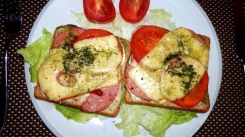 Zwei Scheiben überbackener Toast liegen auf einem Teller, belegt mit Schinken, Tomaten und Käse, garniert mit Salat.