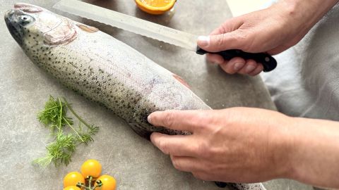Mit einem Brotmesser lässt sich Fisch ganz leicht zerteilen – so wird das Filetieren kinderleicht wie im Tipp gezeigt.