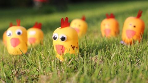 Gelbe Überraschungsei-Küken stehen auf grünem Gras und scheinen fröhlich zu quieken, umgeben von weiteren Küken.