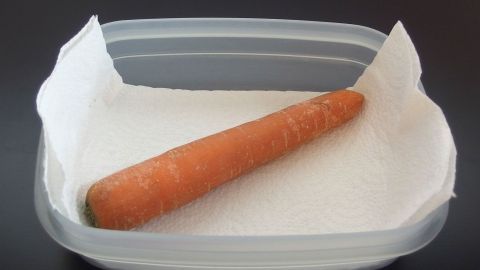 Eine Möhre liegt auf einem Papiertuch in einem Plastikbehälter, um frisch im Kühlschrank gelagert zu werden.