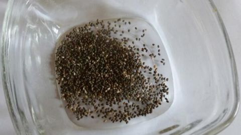 Chia-Samen liegen in einer durchsichtigen Glasschale, auf einer weißen Oberfläche, bereit als gesunder Ei-Ersatz.