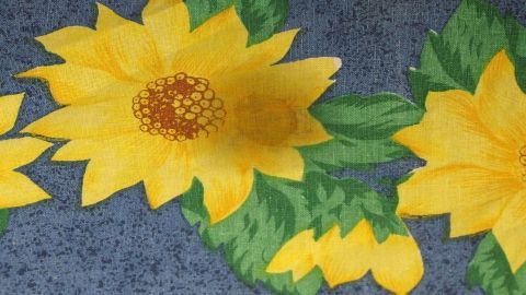 Große, leuchtend gelbe Sonnenblumen stehen auf einem blauen Hintergrund und vermitteln das Gefühl von Frische und Frühlingsfreude.