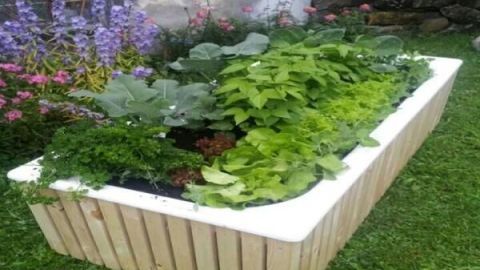 Holzverkleidete Badewanne dient als Hochbeet, gefüllt mit Gemüse und Blumen, steht auf einem Rasen vor einer Hauswand.