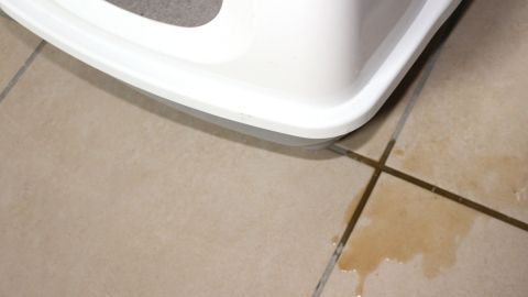 Eine Katzentoilette steht auf Fliesen, während eine kleine Pfütze aus Urin daneben sichtbar ist.